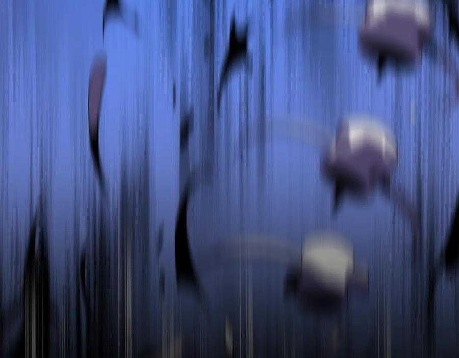 83.jpg