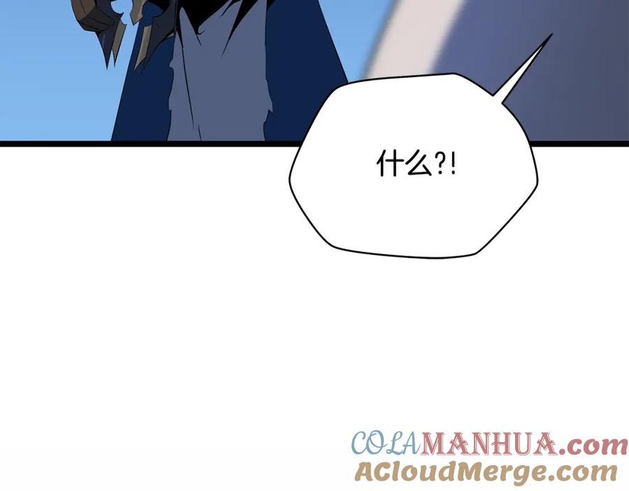 213.jpg