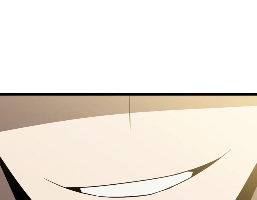 243.jpg