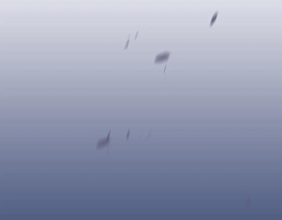 119.jpg