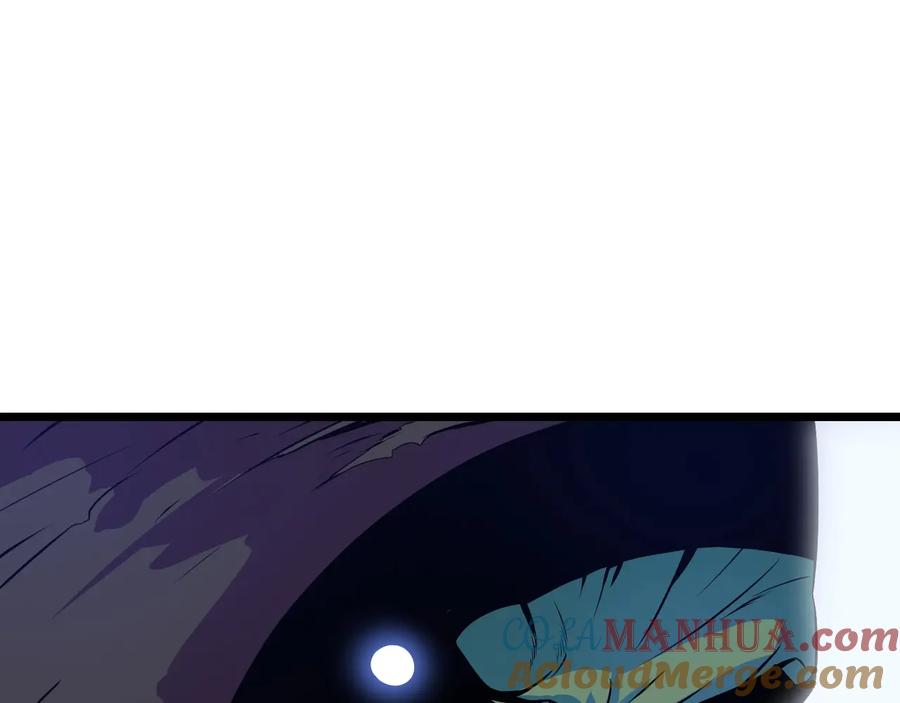 205.jpg