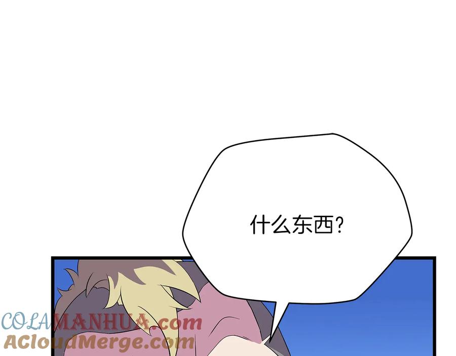 113.jpg