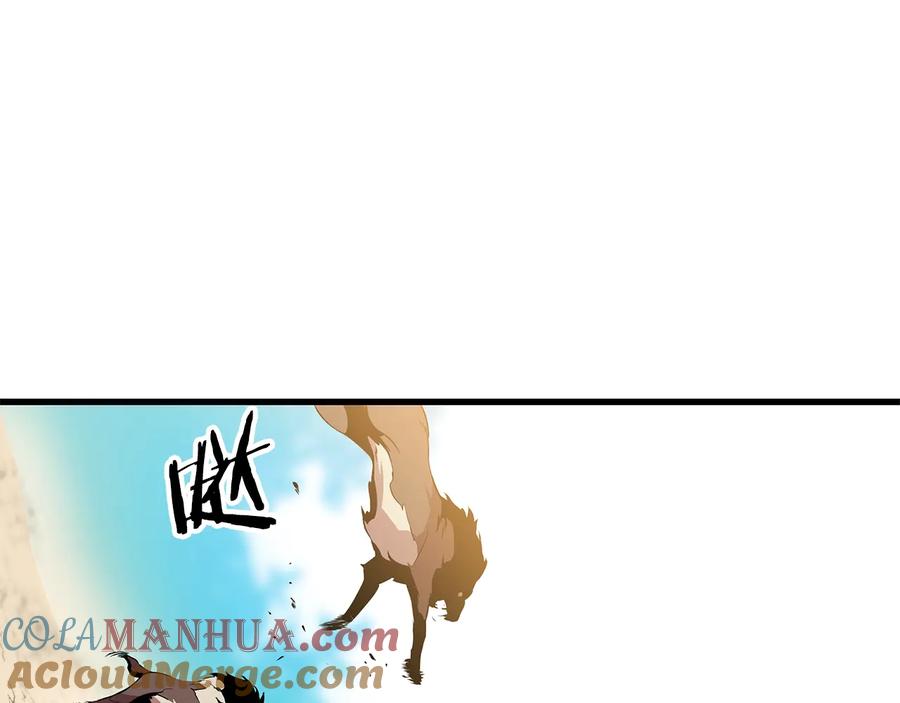 153.jpg