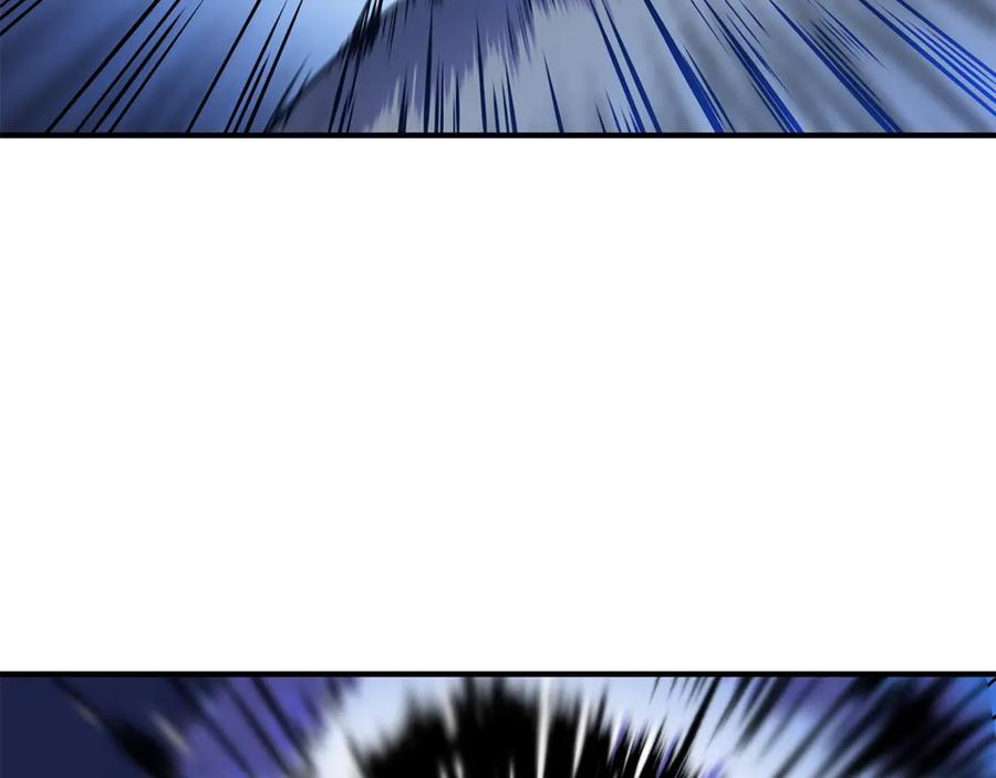 164.jpg