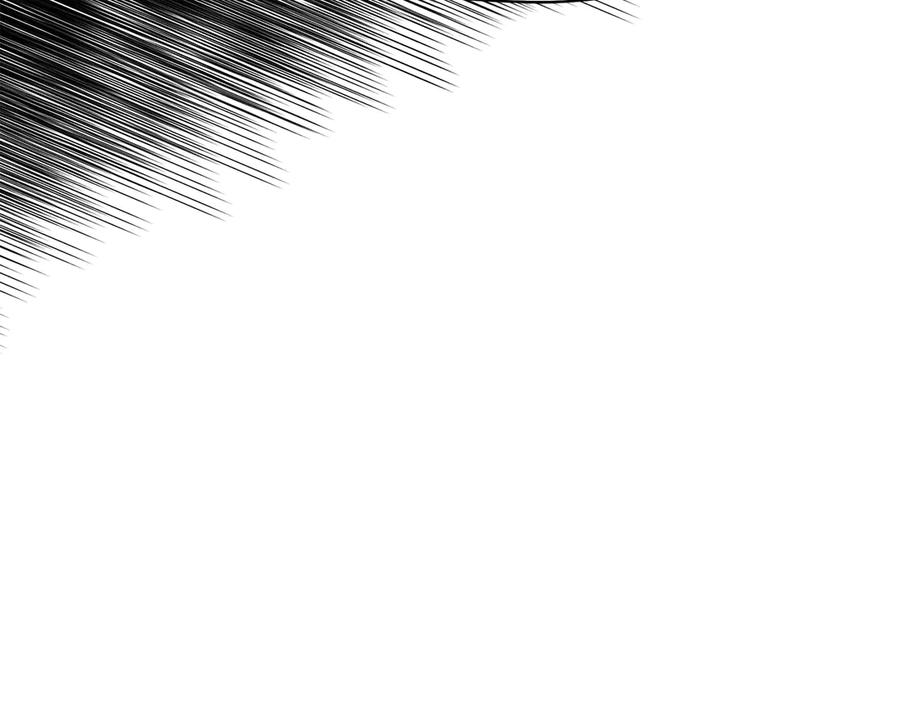234.jpg
