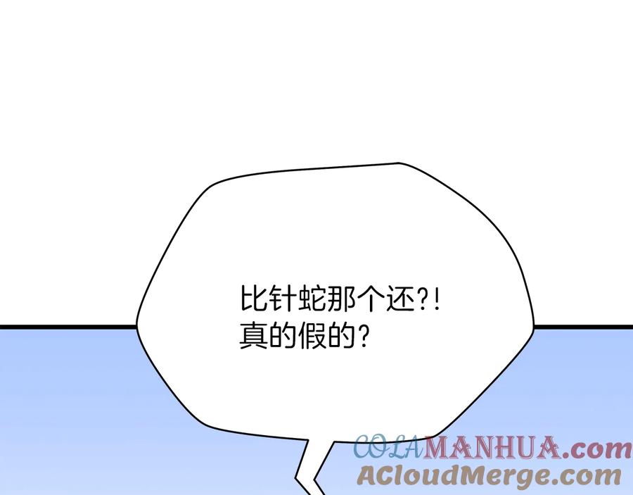 213.jpg