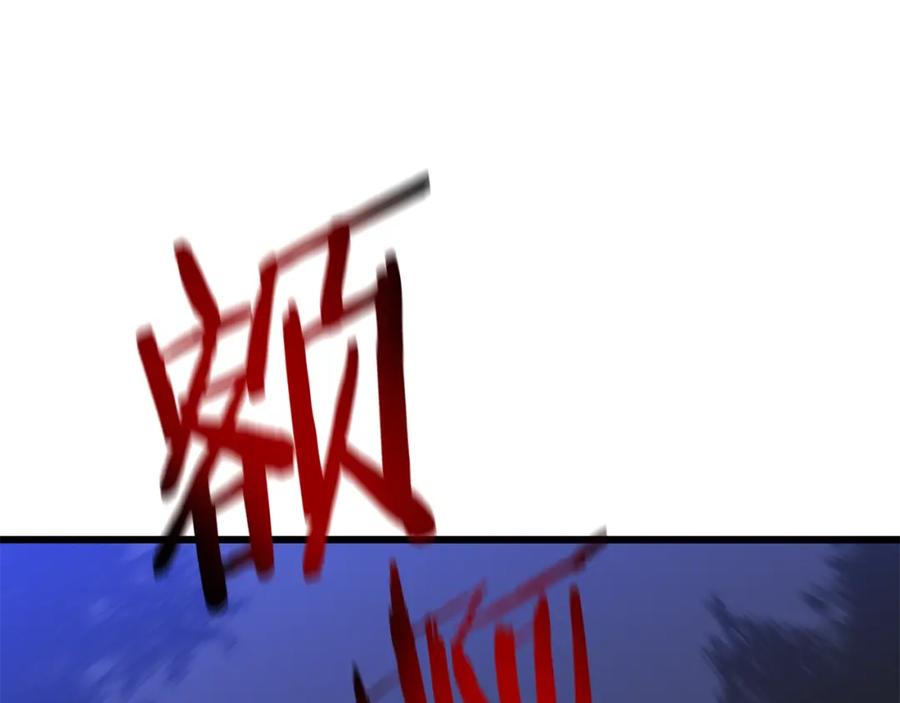 244.jpg