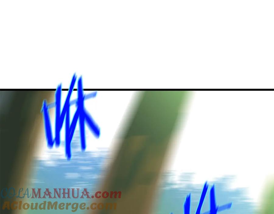161.jpg
