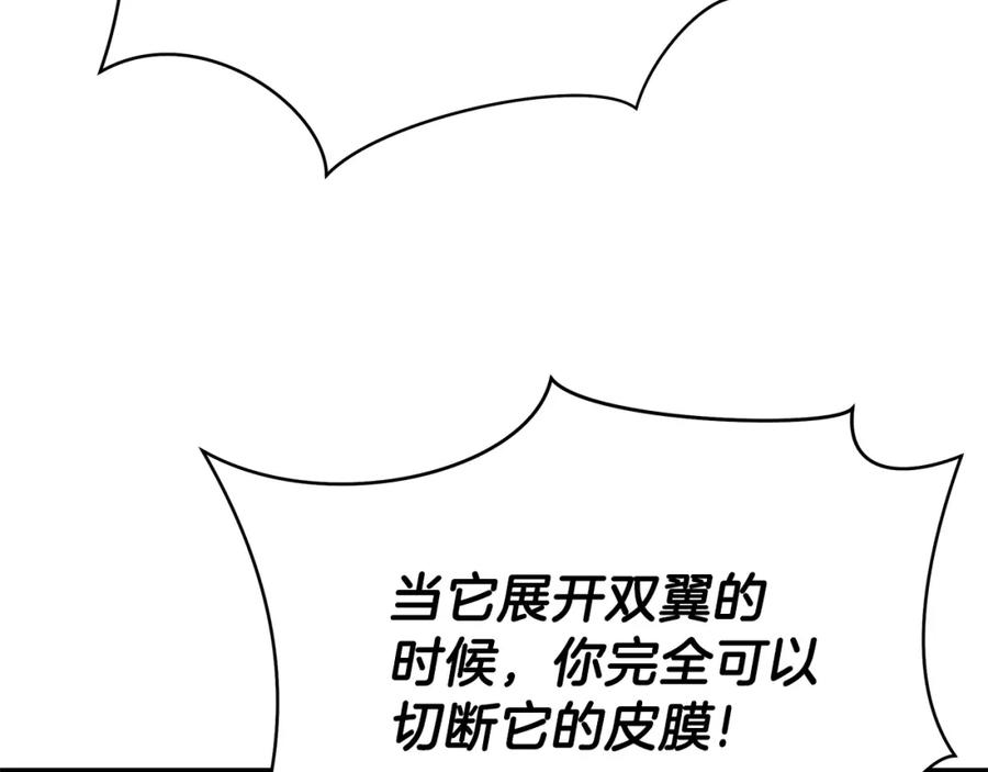 95.jpg