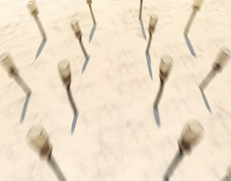 102.jpg