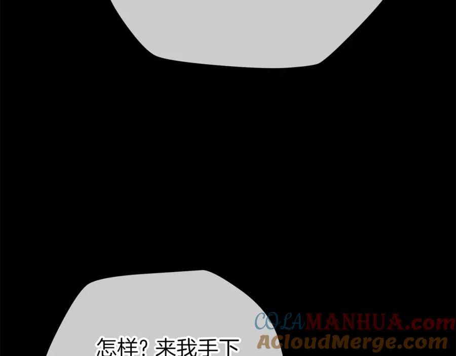 161.jpg