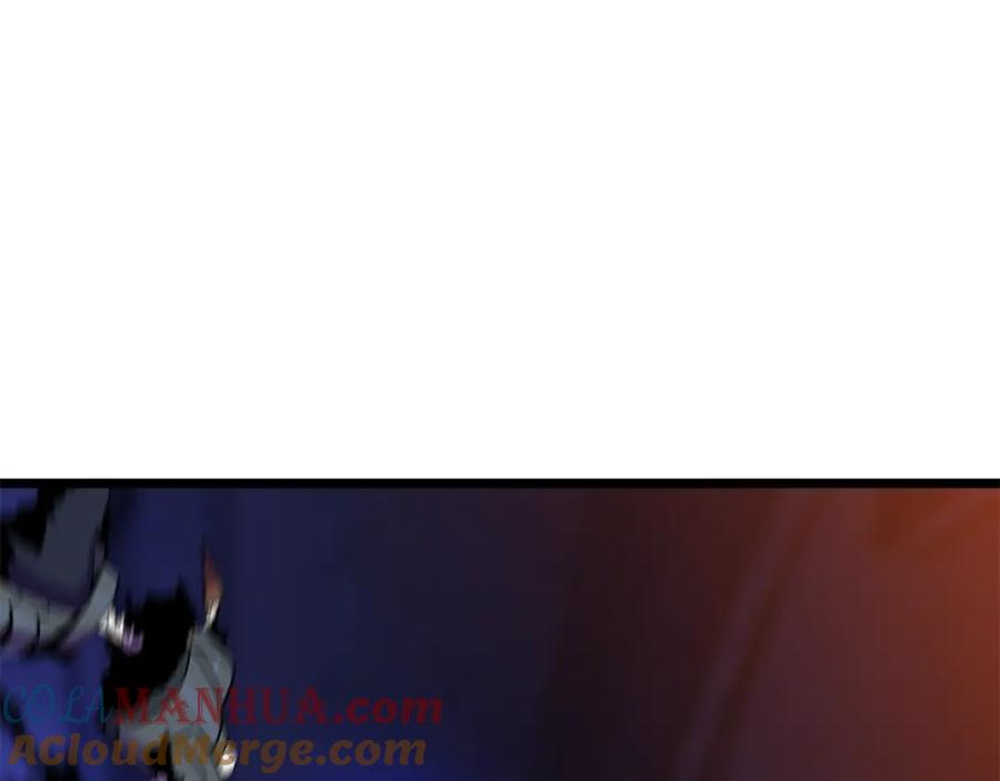 161.jpg