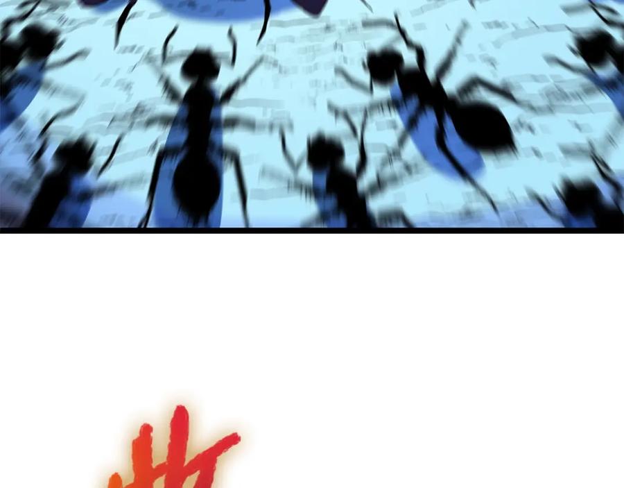 63.jpg