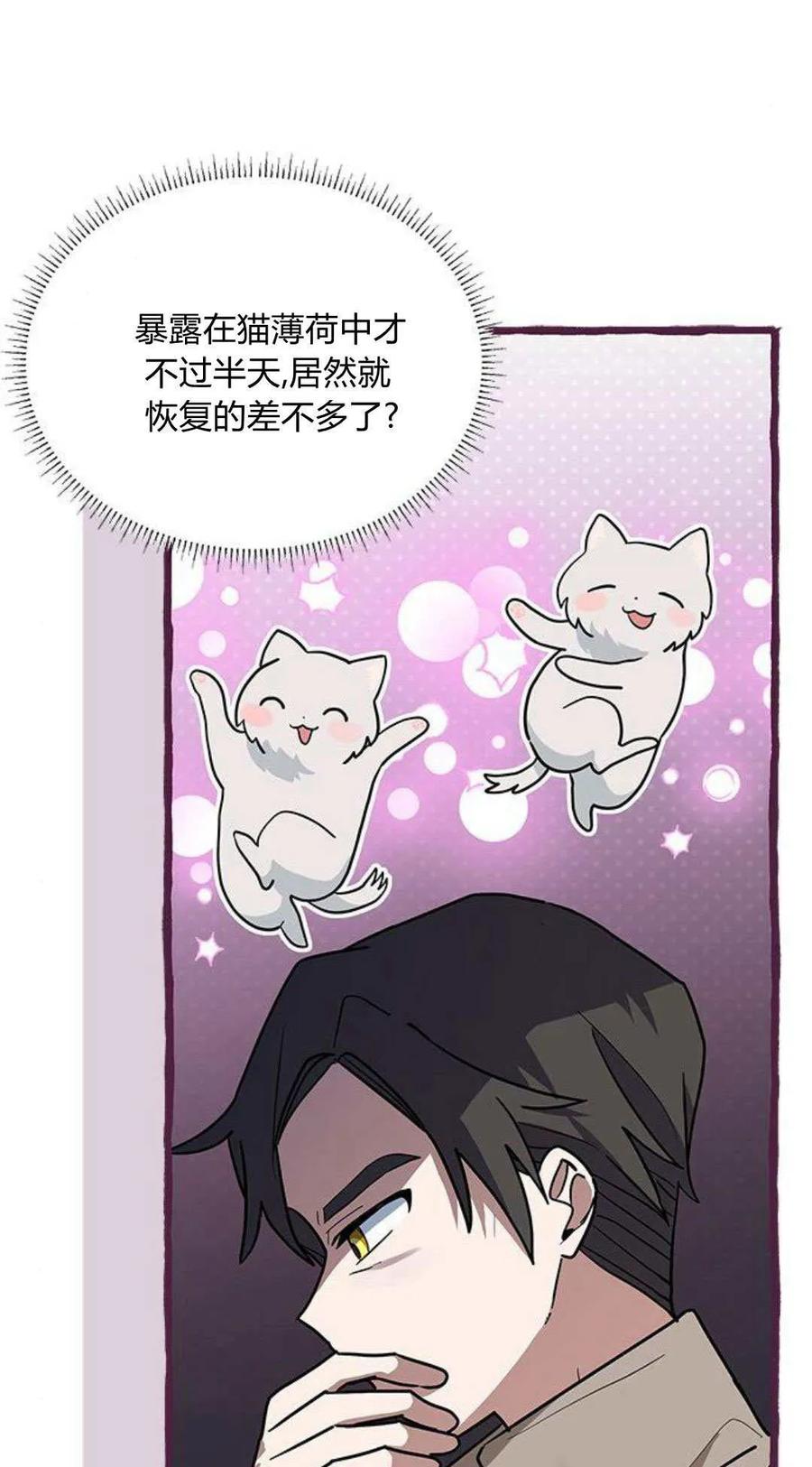 第25话-明明是猫，却被狼族收养了？-노찬주（第11张）