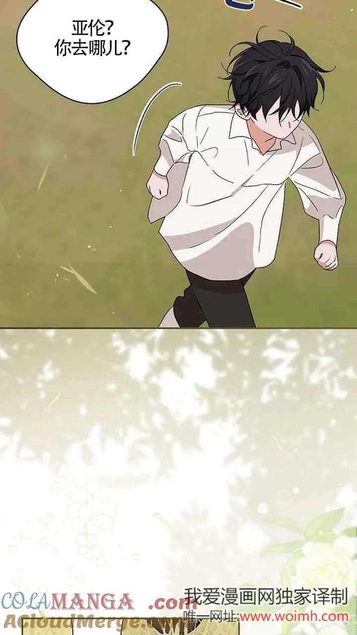 41.jpg