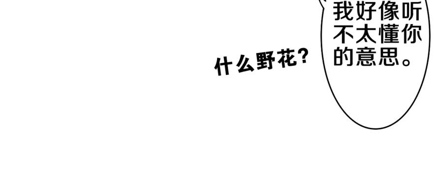 66.jpg