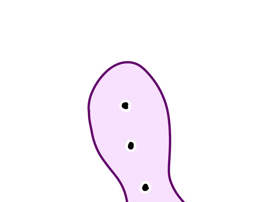 143.jpg
