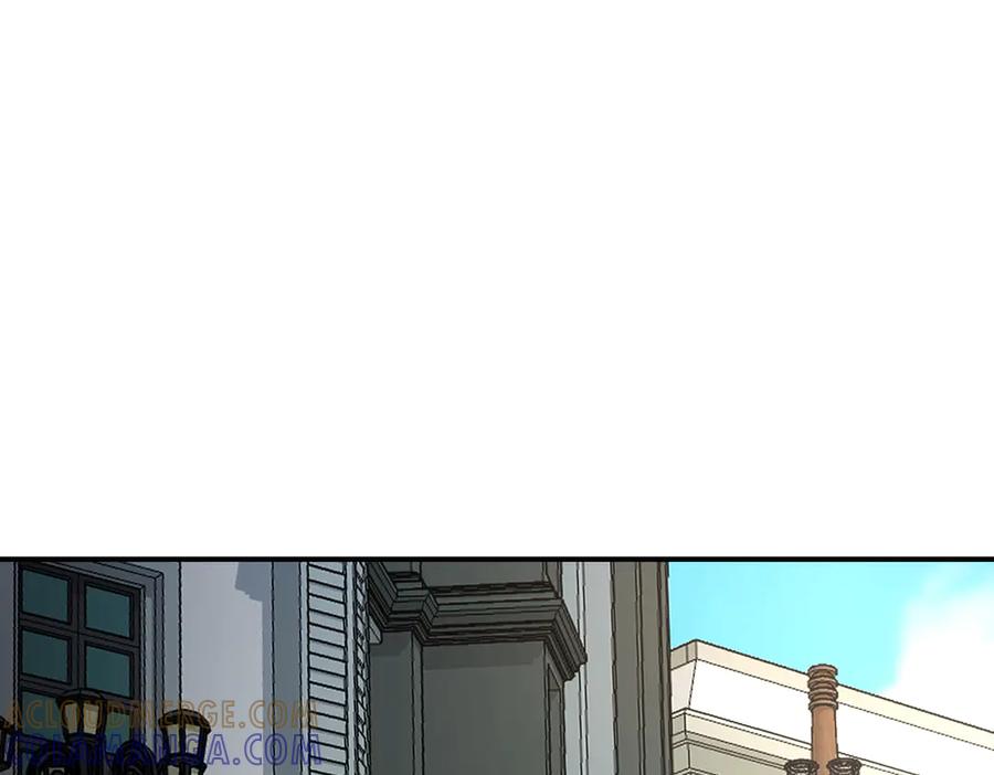 113.jpg