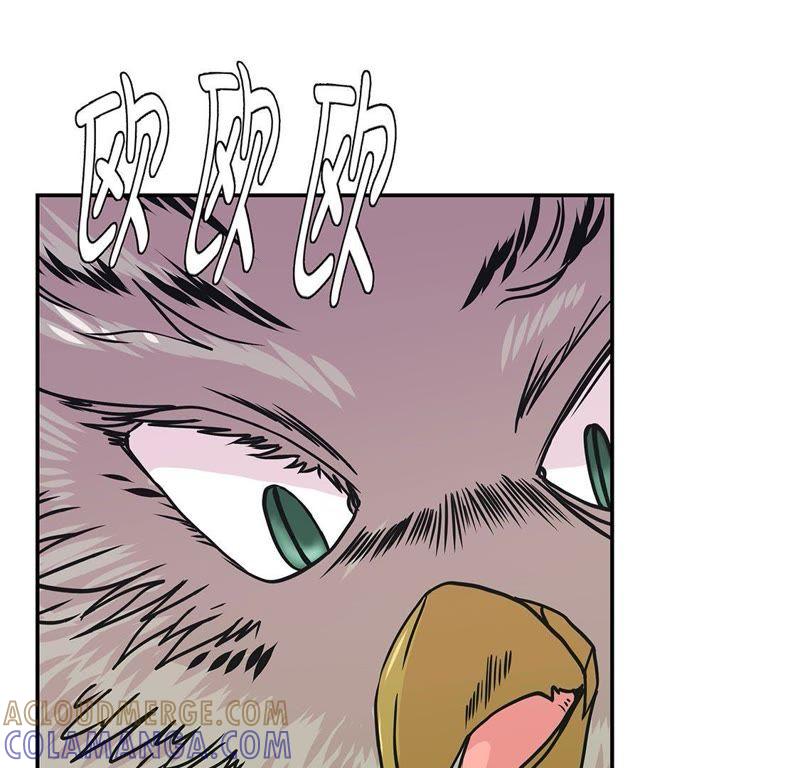 第67话摔倒-奇妙的动物高中-一漫文化（第10张）