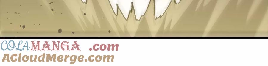 161.jpg