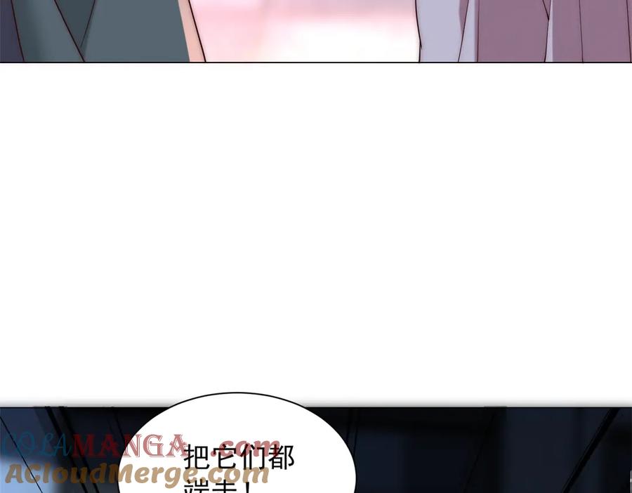 81.jpg