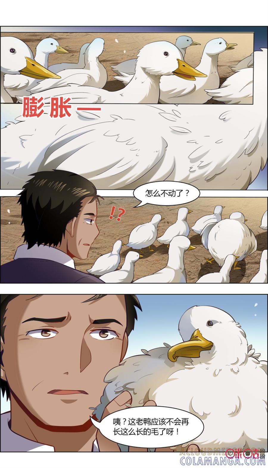 第90话：鸭毛-恋物癖 k-惊奇工场（第2张）