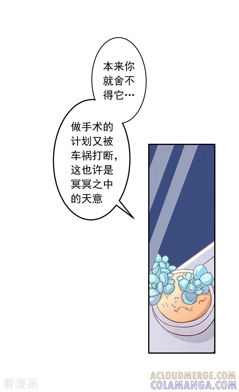 第7话她不是我女朋友-豪门掠爱：误惹冷情总裁-泛次元文化（第7张）