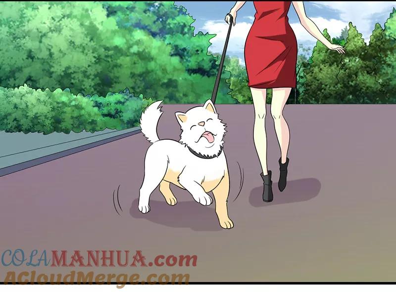 第229话扛雷-就想要个女朋友-酷动像（第3张）