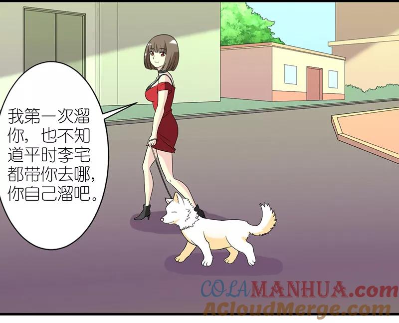 第229话扛雷-就想要个女朋友-酷动像（第2张）