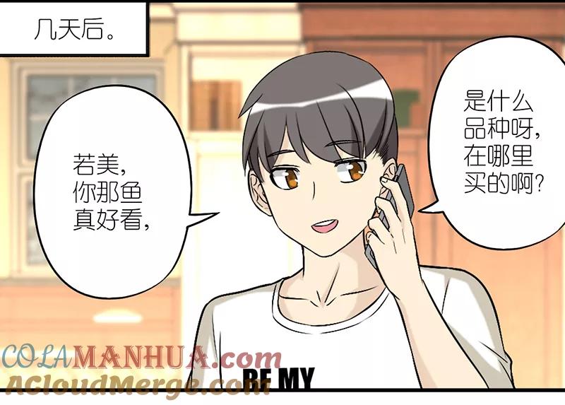 第274话金鱼-就想要个女朋友-酷动像（第3张）