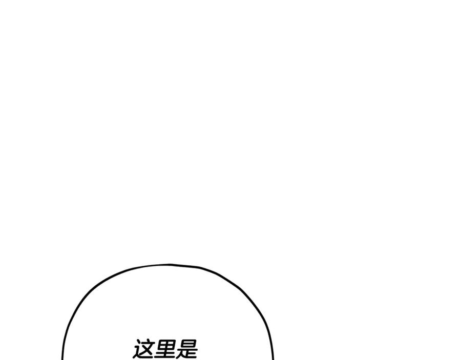 212.jpg
