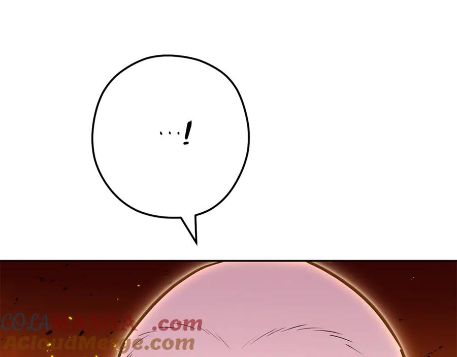153.jpg