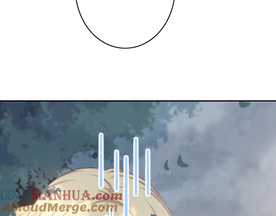 73.jpg