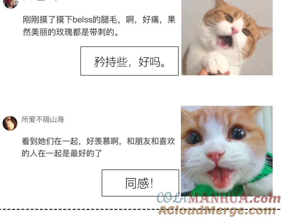 97.jpg