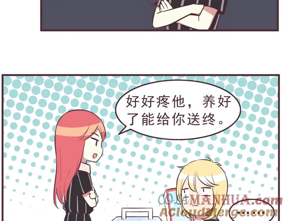 15.jpg