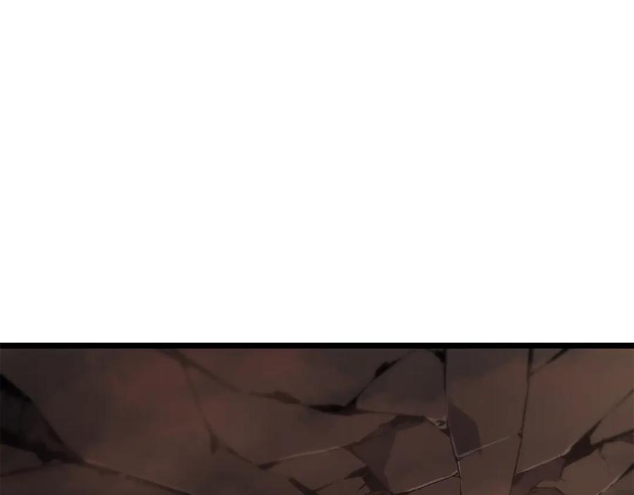 290.jpg
