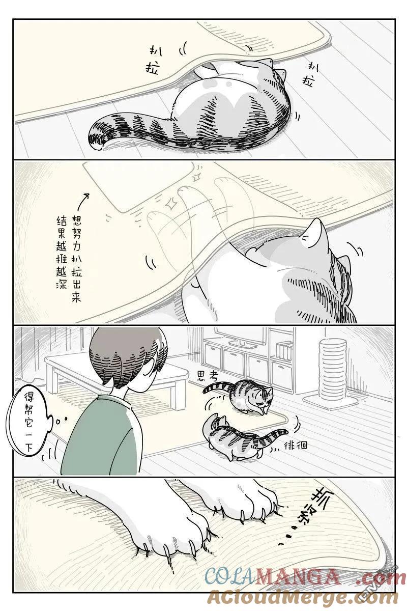 第232话-关于养猫我一直是新手-キュルZ（第1张）