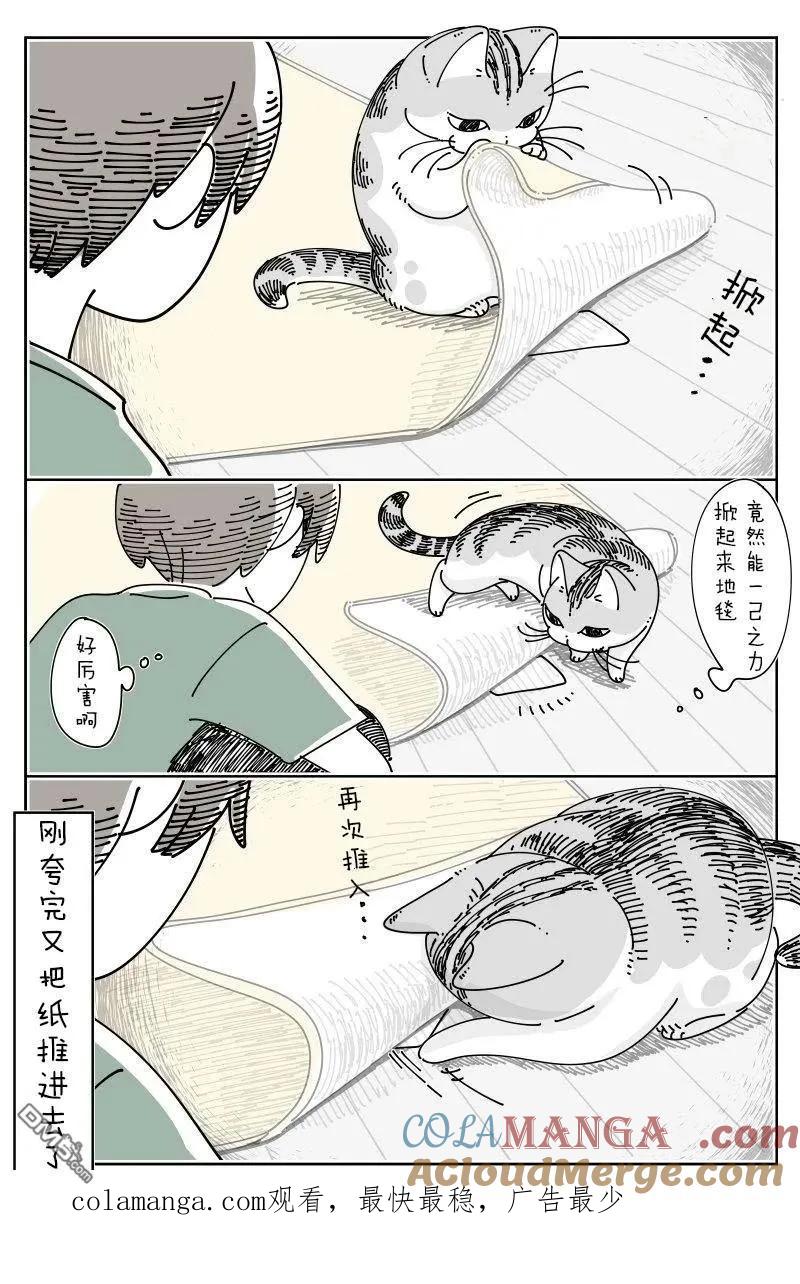 第232话-关于养猫我一直是新手-キュルZ（第2张）