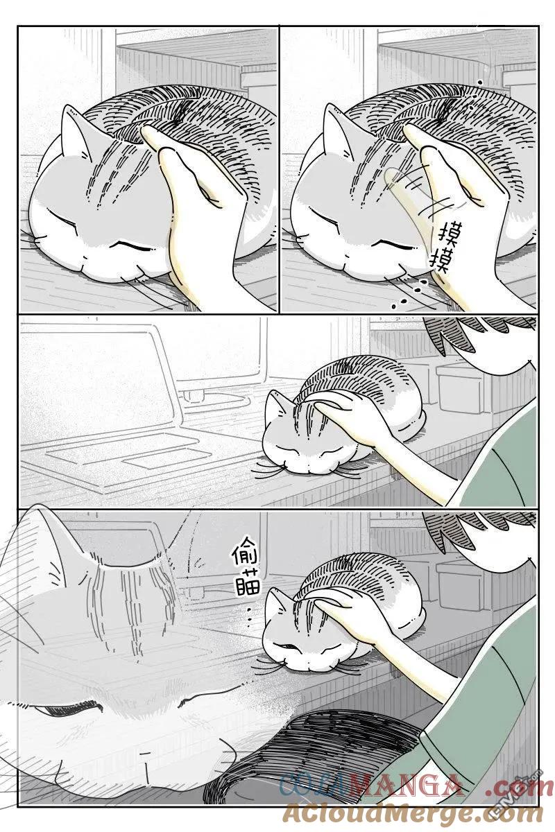 第233话-关于养猫我一直是新手-キュルZ（第1张）
