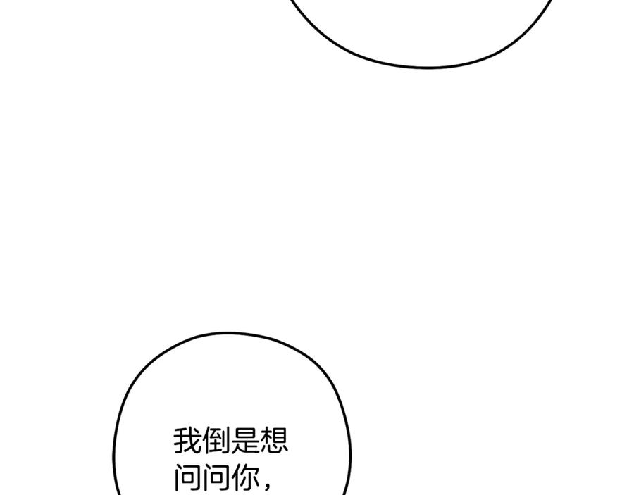146.jpg