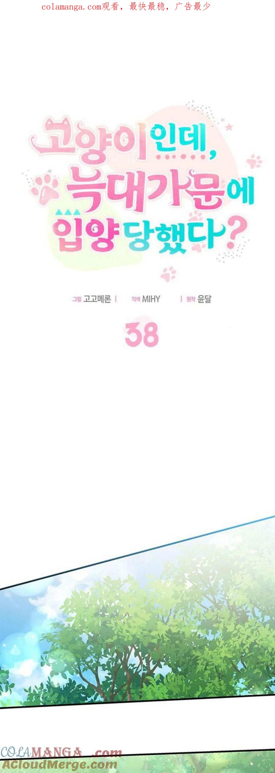 第38话-明明是猫，却被狼族收养了？-노찬주（第1张）