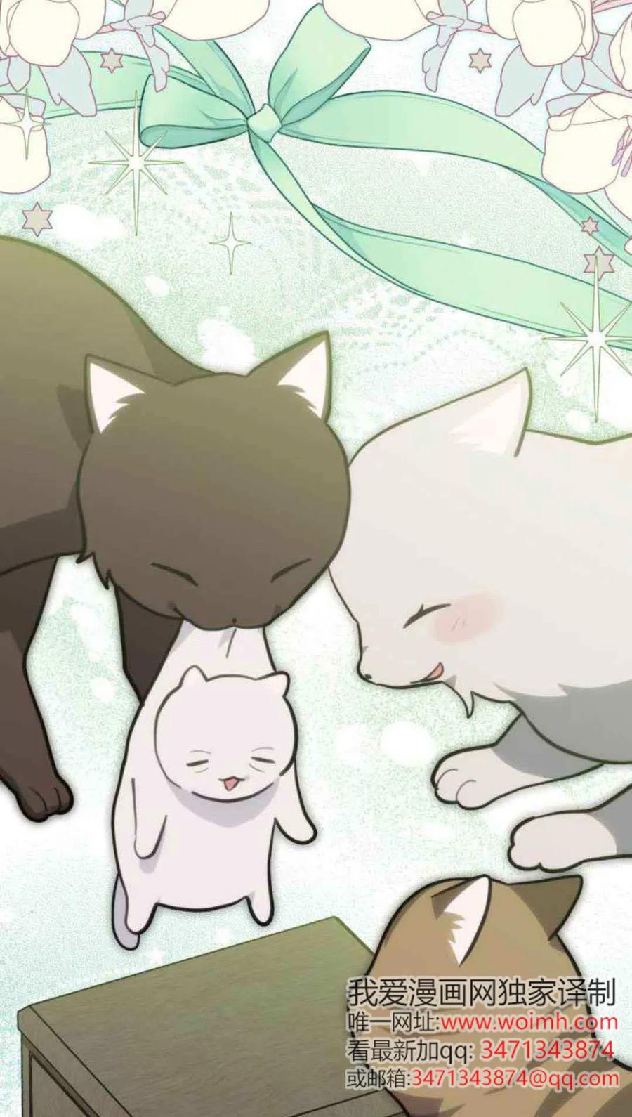 第76话-明明是猫，却被狼族收养了？-노찬주（第6张）