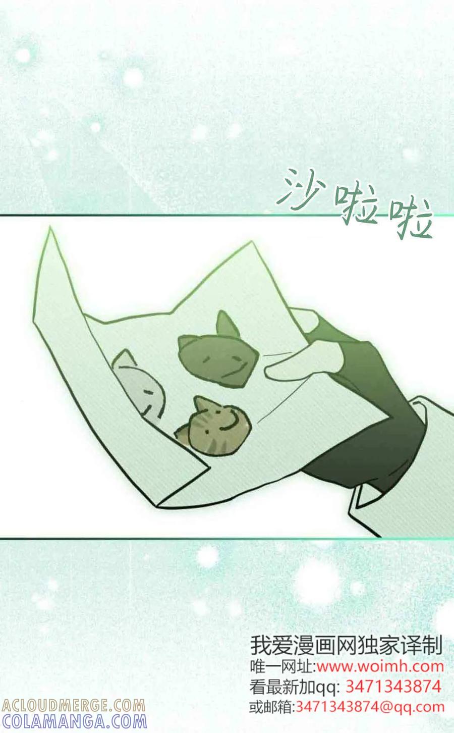 第76话-明明是猫，却被狼族收养了？-노찬주（第16张）