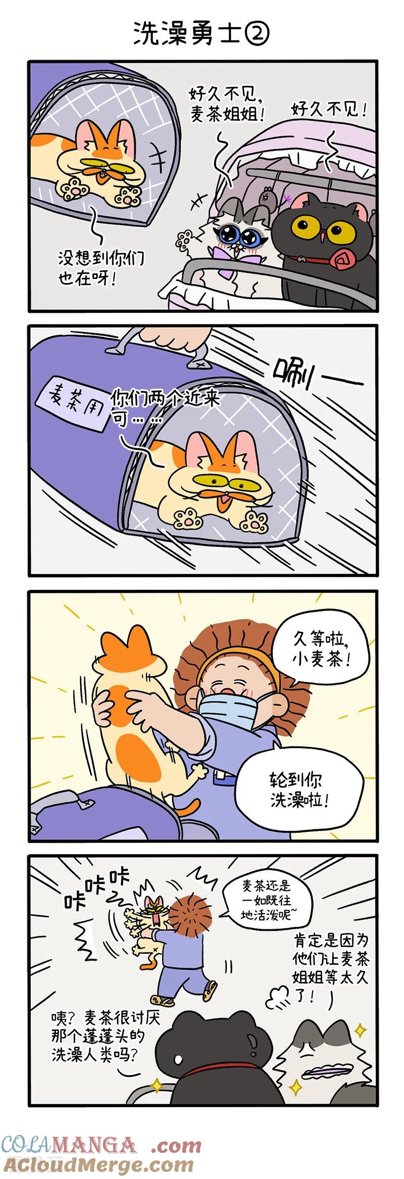 第56话1洗澡勇士-阿满和麦茶-新漫画 日胖大海寺（第3张）