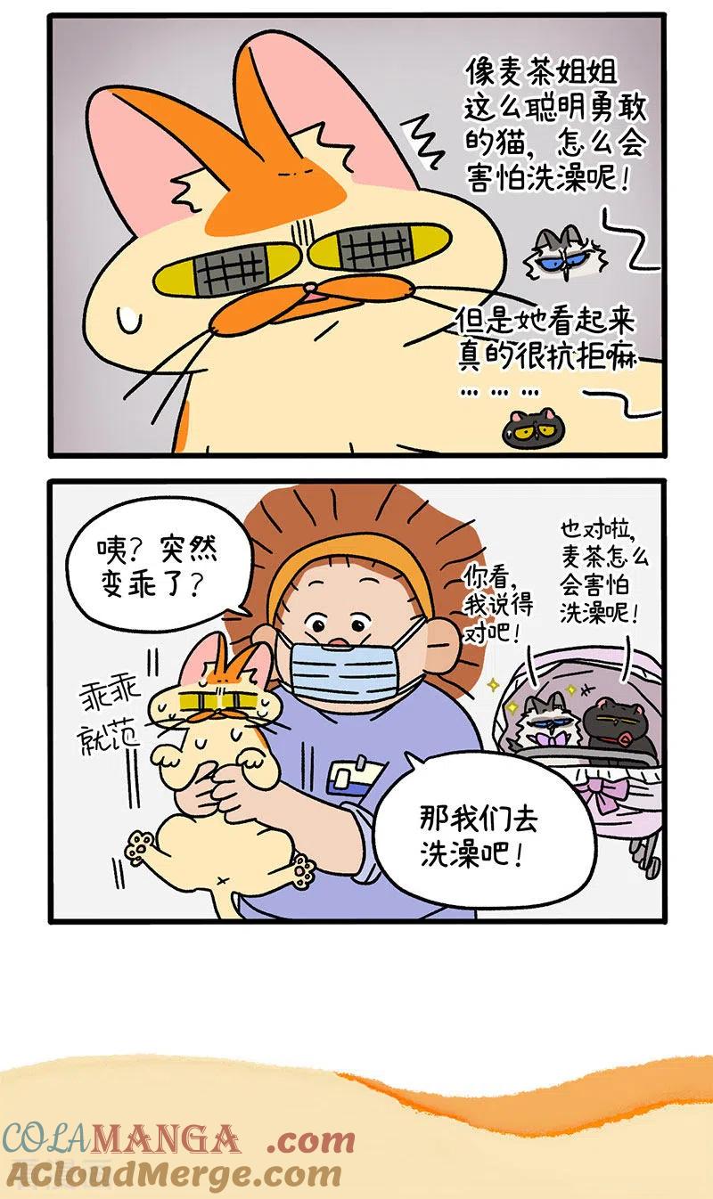 第56话1洗澡勇士-阿满和麦茶-新漫画 日胖大海寺（第5张）