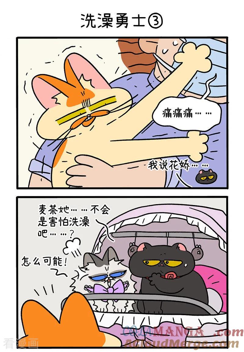 第56话1洗澡勇士-阿满和麦茶-新漫画 日胖大海寺（第4张）