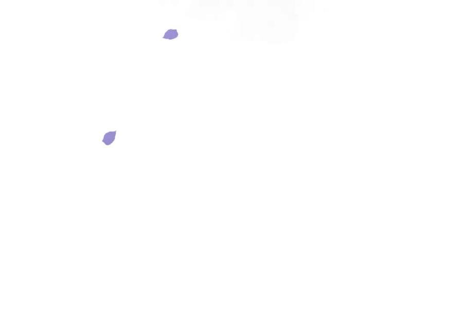 111.jpg