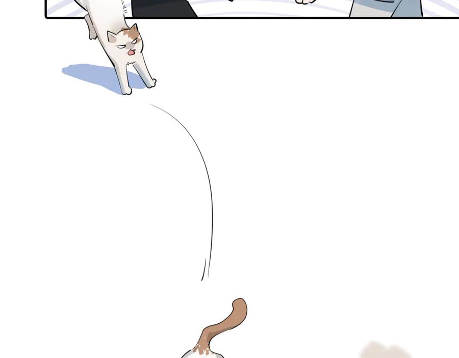 71.jpg