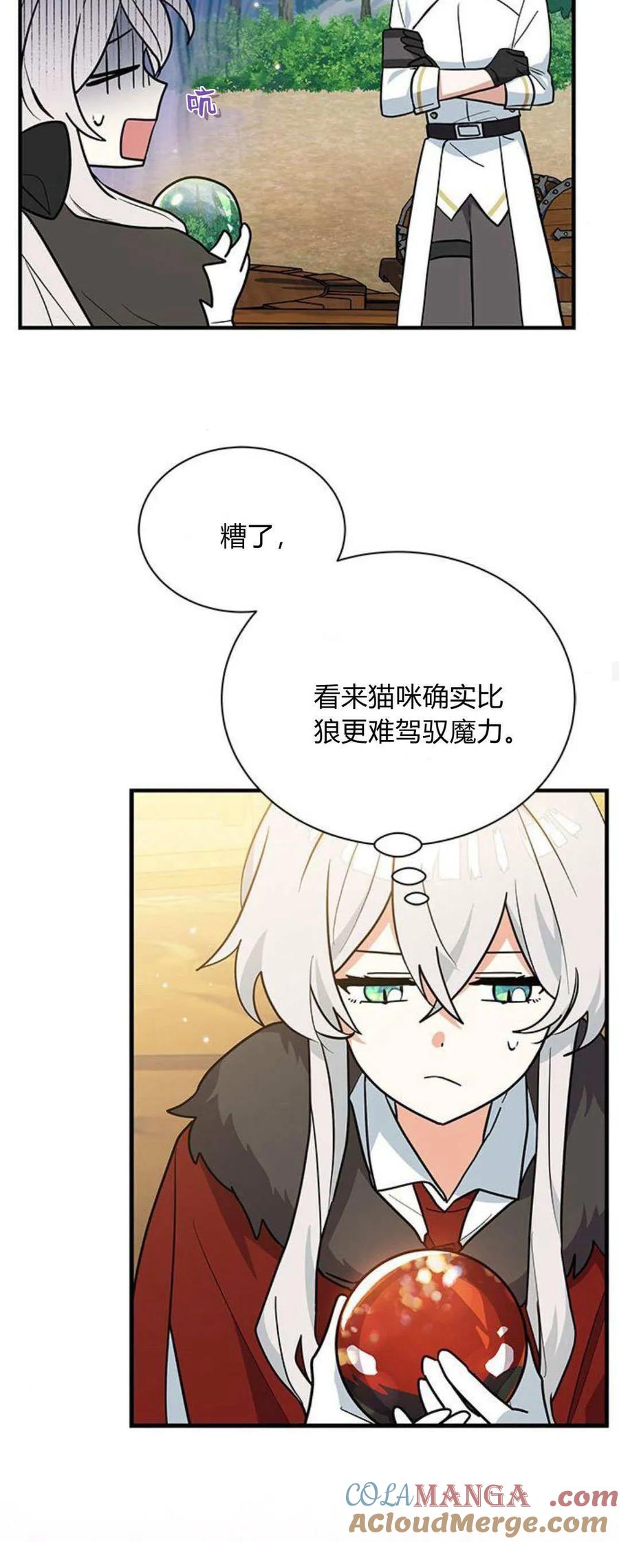 第39话-明明是猫，却被狼族收养了？-노찬주（第13张）