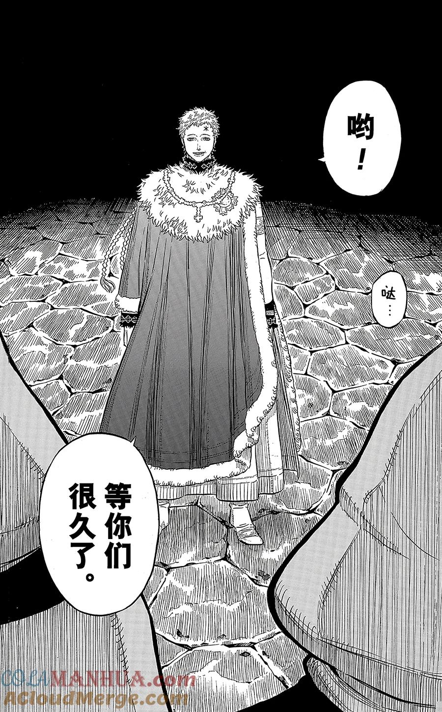 035-黑色四叶草-田畠裕基,集英社（第15张）